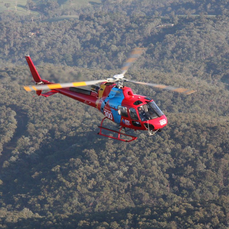 Microflite orders Airbus H125 to expand utility work