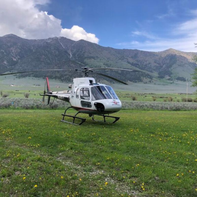 Air Methods praises the Protecting Air Ambulance Services for Americans Act